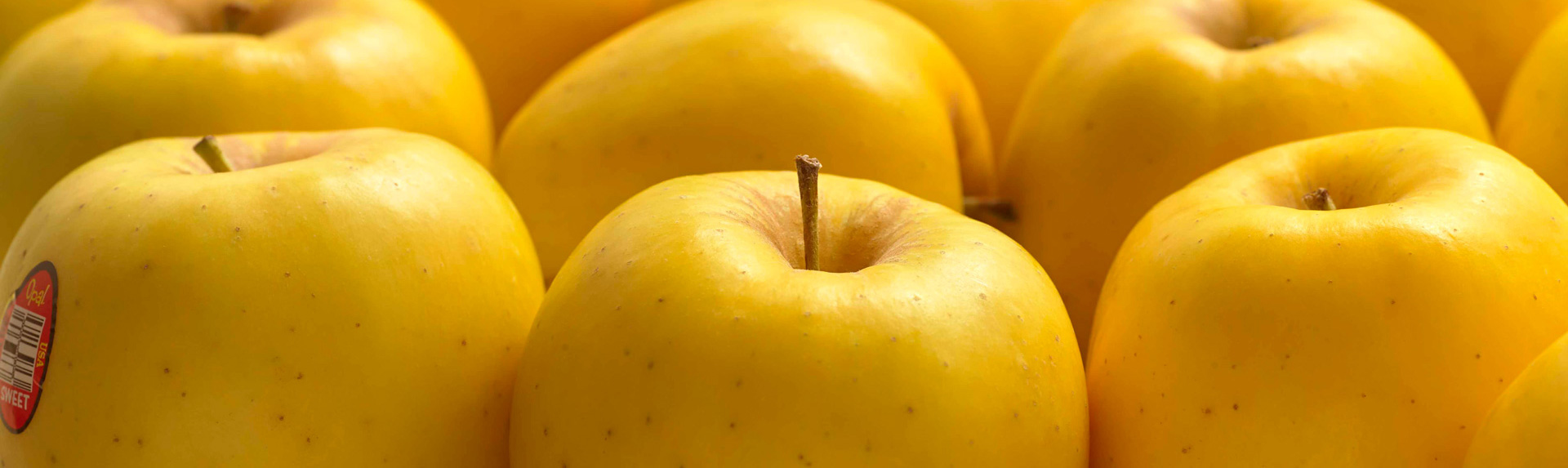 Our Retailers - Where to Buy Yellow Opal Apples