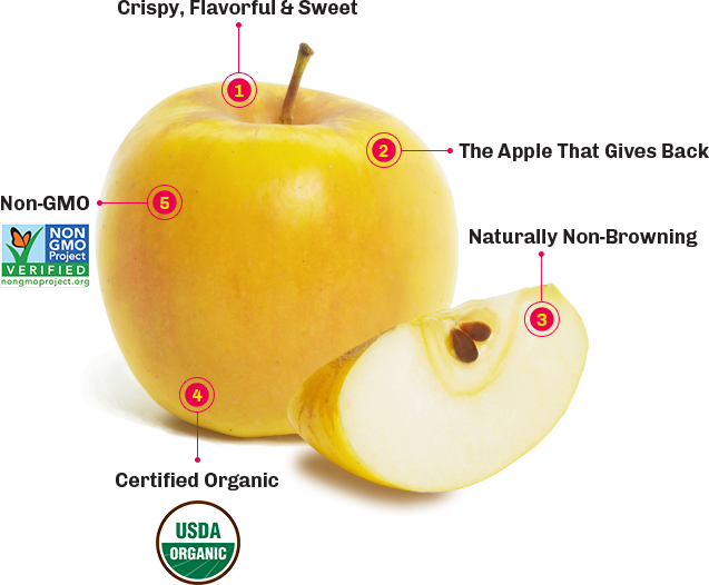 H-E-B Organics Fresh Opal Apples