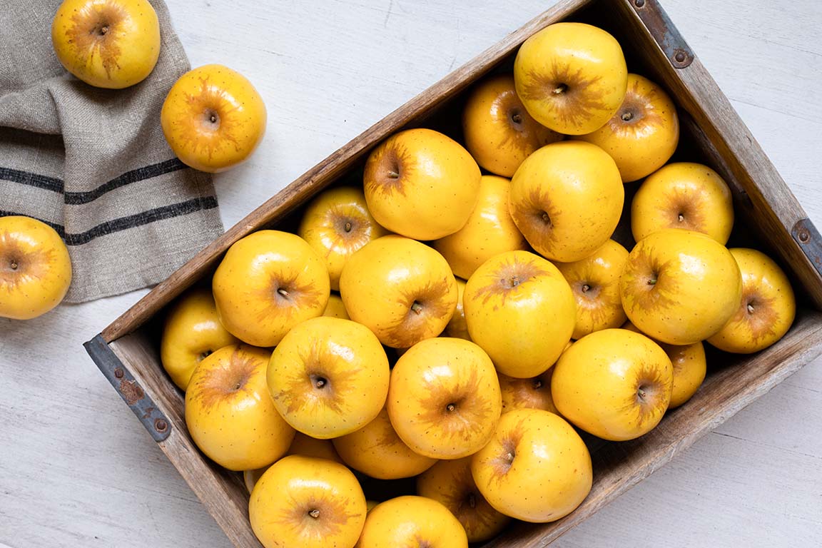 Nutrient-Rich Delight: Exploring the Bountiful Goodness of Opal Apples