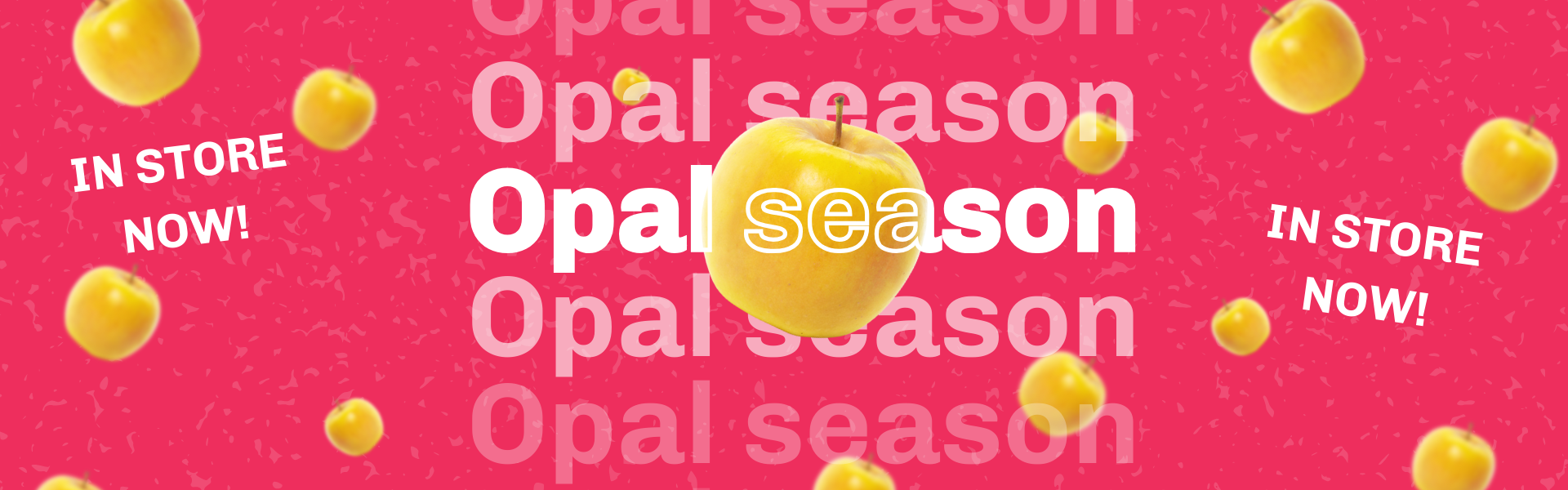 Opal Season