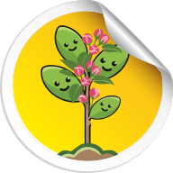 Fruitlet
